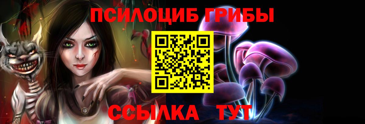Галлюциногенные грибы Cubensis Балаково